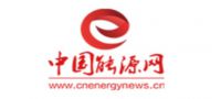 中国能源报